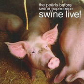 Pearls Before Swine Experience: Swine Live!