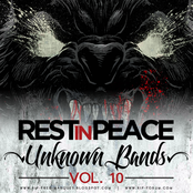 Unknown Bands Vol. 10