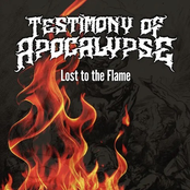 Lost to the Flame
