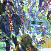 This Watermelon la Croix Got Me Fucked Up