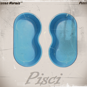 Pisci