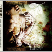 Rumor Has It: Astaroth Has Stolen Your Eyes