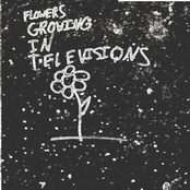 Religious Columnists Find Flowers Growing in Television's Wasteland