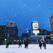 The Winter Collection