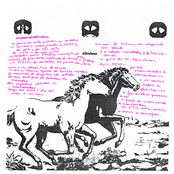 ...o amor a esmagar 2018/2023