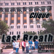 Crook County Clique