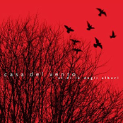 Al di là degli alberi