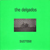 The Dirge by The Delgados