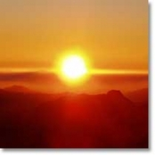 Sunny Paradise [Single]