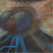 Dragonfly by Dragonfly