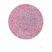 An abundance of strawberries