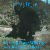 Big Hairy Figure With Eyes Sunk Deep In The Head