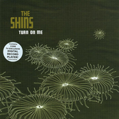 Little Boxes by The Shins