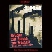 The Burning Of Passions