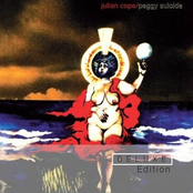 Ravebury Stones by Julian Cope