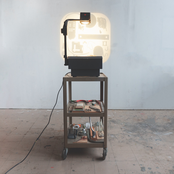 Secrets From a Squirrel