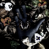 Tripsitter: Metamørphose