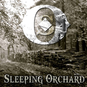 Sleeping Orchard