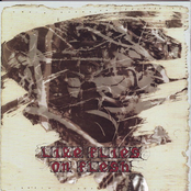 Asunder / Like Flies on Flesh