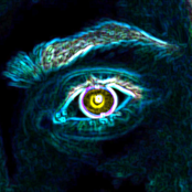 Les yeux