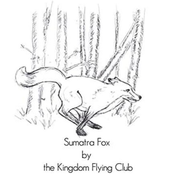 Sumatra Fox