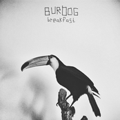 Breakfast - Single