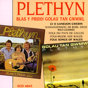 Y Gwylliaid by Plethyn