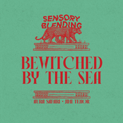 Bewitched By The Sea