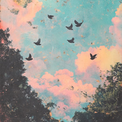 blissful walk - Single