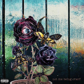 Burn The Jukebox: Not Me Being Crazy