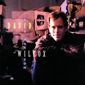 David Wilcox: Big Horizon