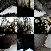 Programmed Cell Death