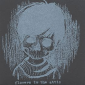 Split 7''