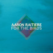 Aaron Raitiere: For the Birds