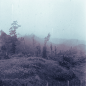 blood sister soldier sailor