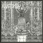 Anatomia / Necrovorous