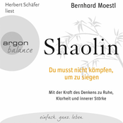 Shaolin [Du musst nicht kämpfen, um zu siegen (Gekürzte Fassung)]