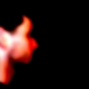 Screaming Death From Above