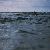 Birds in the Sea, Fish in the Sky