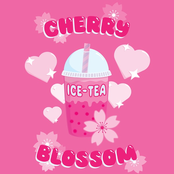 Cherry Blossom Ice Tea