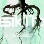 Hold My Finger by Sikth