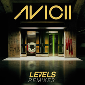 Levels (skrillex Remix) by Avicii