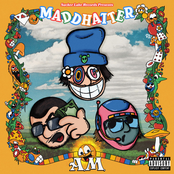 Maddhatter A.M.