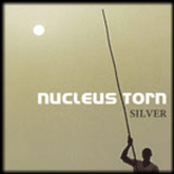 Nucleus Torn by Nucleus Torn