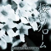 桜モノクローム