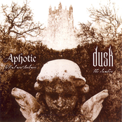 aphotic - dusk