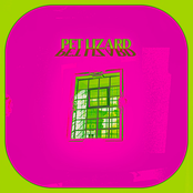 Pet Lizard: Silhouettes