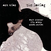 Moth Song by Nels Cline
