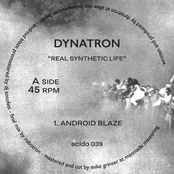 Real Synthetic Life