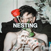 nesting (prophecy)
